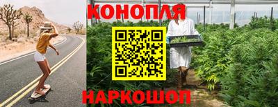 гидропоника Гагарин