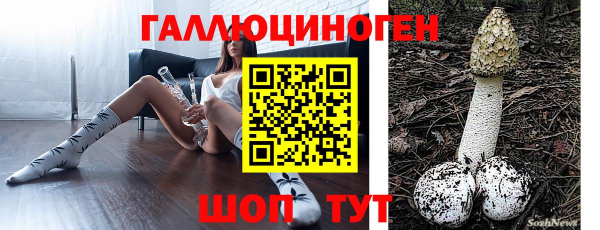 ГАШ Фурманов